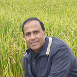 Kadambot Siddique (Professor)
